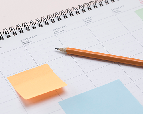 <b style='color:#d00000;'>SCHEDULE</b></br>교육일정